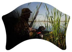 DABAN-312 Gone Hunting (Duck with Dog)